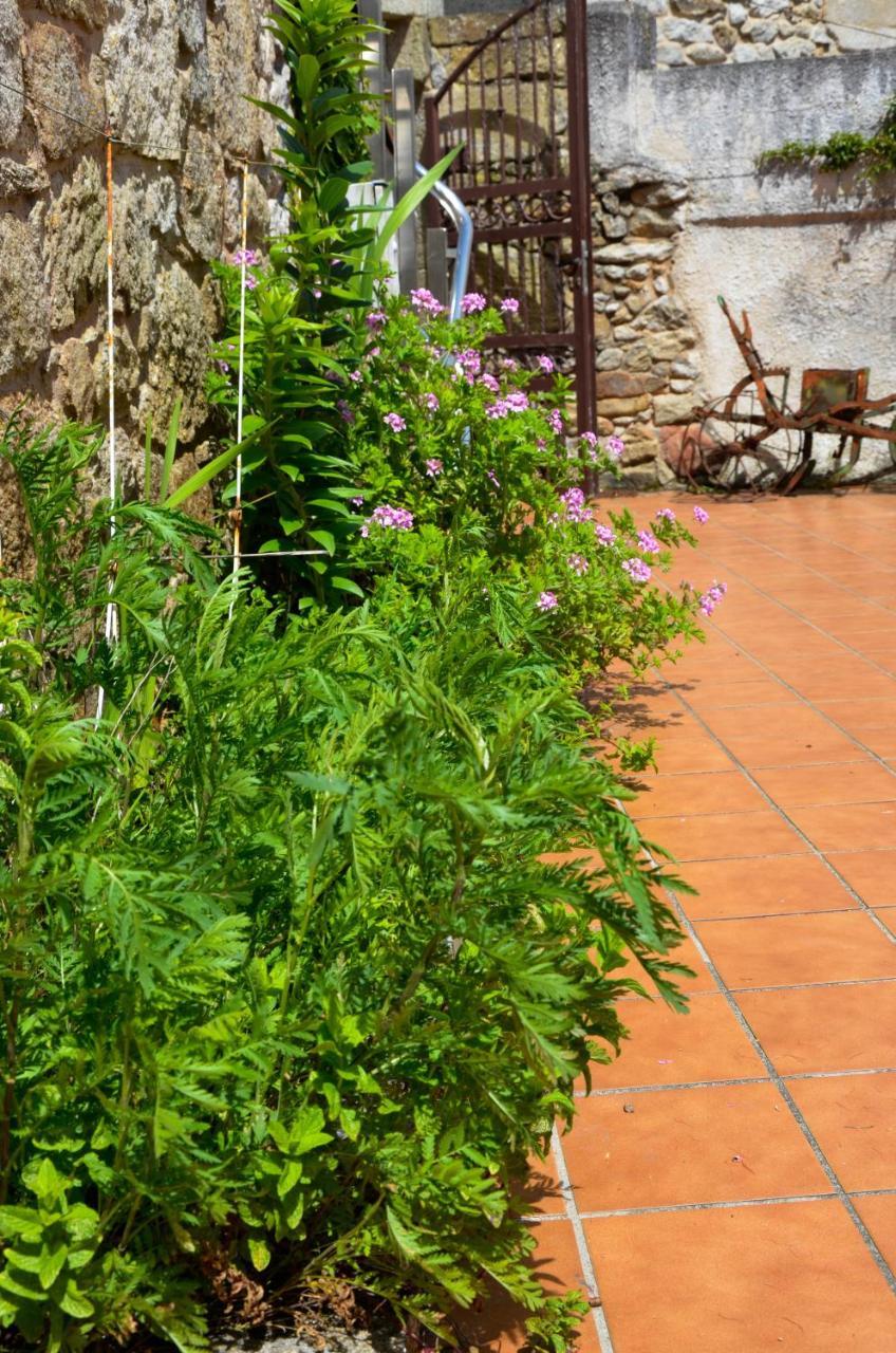 Hotel Sursum Corda Ribeira Exterior foto